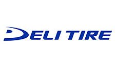 Delitire logo